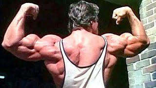 ARNOLD SCHWARZENEGGER BACK WORKOUT [upl. by Krystle603]