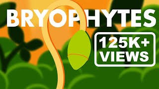 Bryophytes Class 11  Life Cycle of Bryophytes ANIMATION  Plant Kingdom Class 11  NEET [upl. by Hoo912]