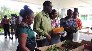 Ministry of Agriculture Distributes Seedlings Ahead of World Food Day Celebrations [upl. by Arlo]