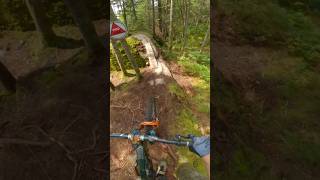 Pro lines galore on this trail mtb mountainbike mountainbiking [upl. by Calvinna467]