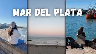 VLOG a Mar del Plata [upl. by Vincenz]