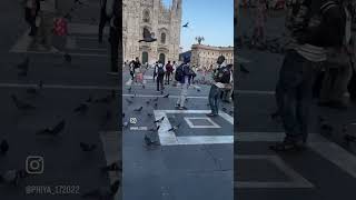 Duomo milan😍…italy europe ytshorts [upl. by Katti]