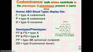 Chapter 11 Podcast 11 Incomplete Dominance amp Codominance [upl. by Indihar]