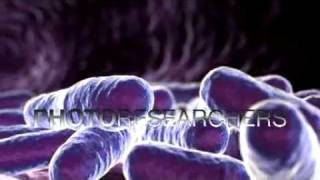 E Coli Bacteria  Photo Researchers [upl. by Eocsor]