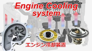 Engine Cooling System how it works [upl. by Bonner506]