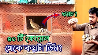 ৪০ টি পাখি পালনে খাদ্য খরচ কত কোয়েলপাখিপালন [upl. by Otilia]