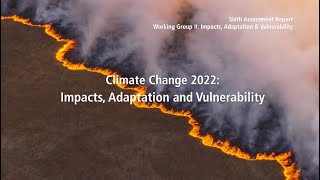 What is Climate Adaptation Mitigation amp Resilience  Climate Vocabulary  The Climate Explainers [upl. by Ardell463]