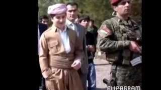 ️Sarok Barzani song [upl. by Sierra289]