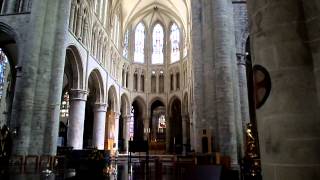 Organ of the Cathedral of St Michael and St Gudula in Brussels [upl. by Yhtommit]