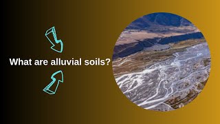 What are alluvial soils [upl. by Anelagna1]