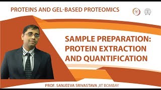 Sample preparation Protein extraction and quantification [upl. by Favian]