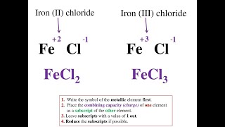 Class 9 CBSE  Science  Why ferrus has two valencies [upl. by Sibie]