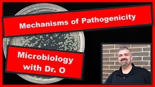 Mechanisms of Pathogenicity Microbiology [upl. by Justine]