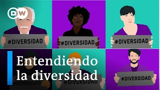 ¿Qué es la diversidad [upl. by Bunde]