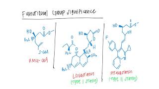 SI Med Chem MOA Statins [upl. by Namsaj]