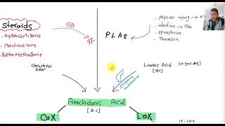 Inflammatory Mediators 2  COX amp LOX Pathway [upl. by Ardnaxila]