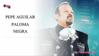 Paloma negra Pepe Aguilar [upl. by Elockin]