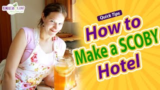 How to Make a SCOBY Hotel  Quick Tips  Kombucha Kamp  Hannah Crum [upl. by Ardnuhsed676]