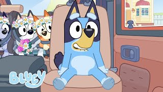 Road Trip Moments 🚗 💨  Travel Fun with Bluey and Bingo  Bluey [upl. by Nosyd]