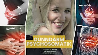 Dünndarm — psychosomatische Bedeutung [upl. by Enamrej]