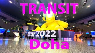 【Airport Tour】How to Transit at Qatar Doha Hamad International Airport [upl. by Atiuqram]