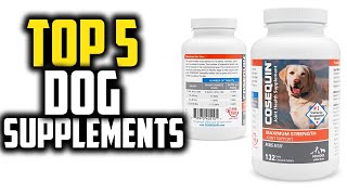 ✅Best Dog Supplements in 2024 [upl. by Islaen]