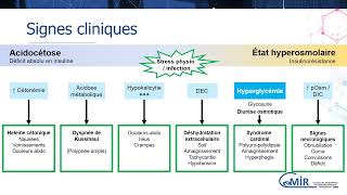 6 40 1 Acidocétose et état hyperosmolaire  diagnostic et physiopathologie [upl. by Nyrhtakyram935]