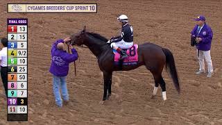 Straight No Chaser wins Cygames Breeders Cup Sprint GI race 10 at Del Mar 11224 [upl. by Maxy]