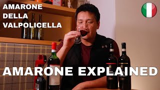 Big RED WINE  Amarone Explained [upl. by Innig]