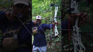 Finally got to sight in My Mathews Title 38 mathewsarchery bebetter Title38 [upl. by Cohleen581]