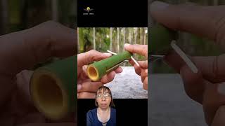 The process of making your own gun using a garden bamboo tree bamboo bamboobamboo [upl. by Eidnahs285]