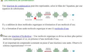 Réactions doxydation de réduction de condensation dhydrolyse réaction délimination de substi [upl. by Imefulo935]