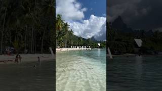 😍MOOREA  The Most beautiful Island on Earth🏝️ shorts moorea tahiti [upl. by Gillie]