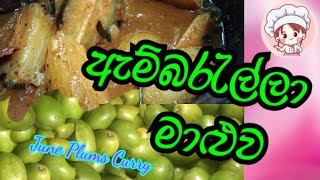 Ambarella Curry June Plums Curry ඇම්බරැල්ලා මාළුව Ape Ambul Rasa [upl. by Eiluj97]