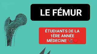 ANATOMIE 🦴 LE FÉMUR OSTÉOLOGIE DU MEMBRE INFÉRIEUR 1ÈRE MÉDECINE 🥼✅ [upl. by Lang680]