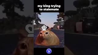 😂Poor King 😂🥺  MrChess  chess viralvideo shortsvideo mrchess [upl. by Stahl]