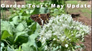 Garden Tour  May Update [upl. by Soisinoid180]