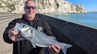 Short fishing session at Samphire hoe bass [upl. by Arevle]