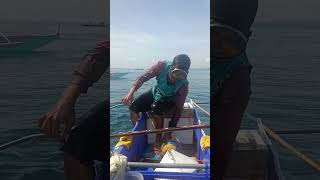 BEAST MODE FISHING Massive Billfish marlinfishing bigfish fishing [upl. by Almund716]