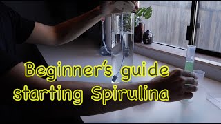 Stepbystep guide to starting your Spirulina culture [upl. by Skipp]