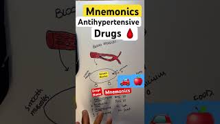 antihypertensive drugs pharmacology mnemonics [upl. by Mailliw186]