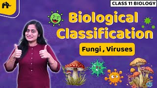 Biological Classification Class 11 Biology NCERT Chapter 2  CBSE  Kingdom Fungi Viruses Viriods [upl. by Berkley]