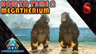 ARK SURVIVAL ASCENDED HOW TO TAME A MEGATHERIUM [upl. by Sucitivel334]