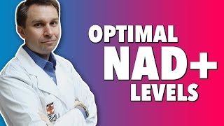 What Is NAD Longevity Boosts of Nicotinamide Adenine Dinucleotide amp NMN [upl. by Dorris]