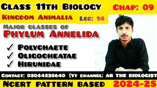 Classes of phylum Annelida Polychaete Oligocheatae l Hirunidae kingdom Animalia Invertebrates [upl. by Nyrrat]