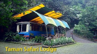 Stay at Caravan  Taman Safari Lodge  Cisarua  Bogor [upl. by Ongun3]