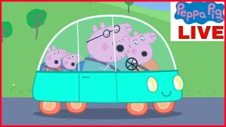 🔴 LIVE  Nonstop Peppa Pig Livestream  Join the Fun 247 🐷🎉 [upl. by Ynaffets]