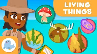 The Classification of Living Things 🦠 🐰 5 ANIMAL KINGDOMS 🌱 Science for Kids [upl. by Pomfrey213]