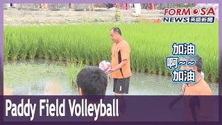 Changhua farmers win fame for a volleyball tournament in the paddy fields｜Taiwan News [upl. by Leirej]