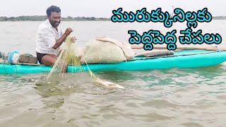 వరద నీళ్లకు పెద్ద చేపలు 🐟yatala shankar vlogs యాటల శంకర్ చేపల వీడియో🐟 [upl. by Rhodia]